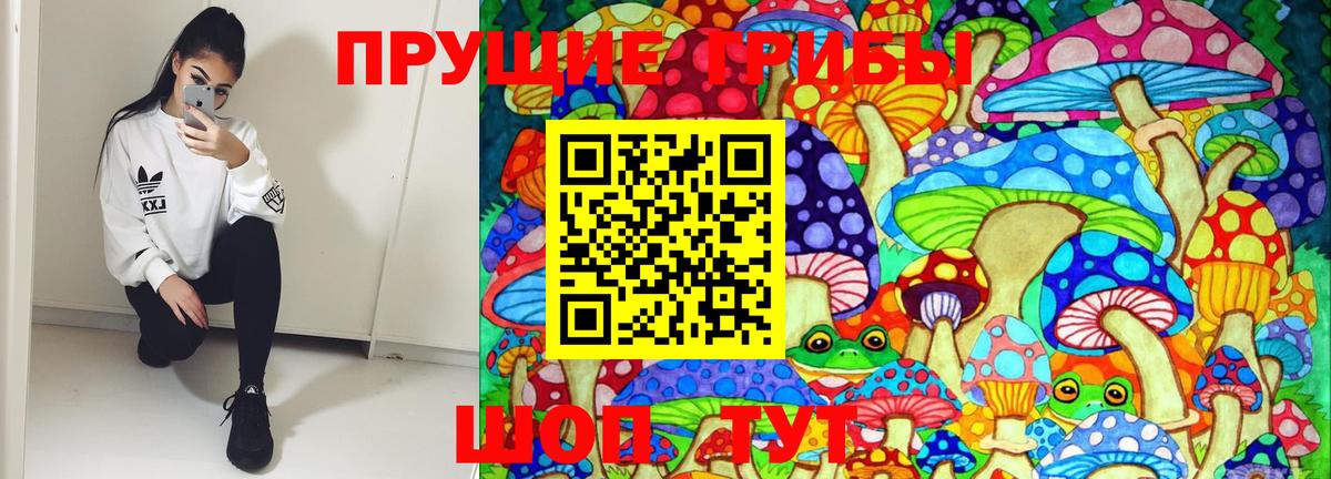 Псилоцибиновые грибы Psilocybine cubensis Чернушка