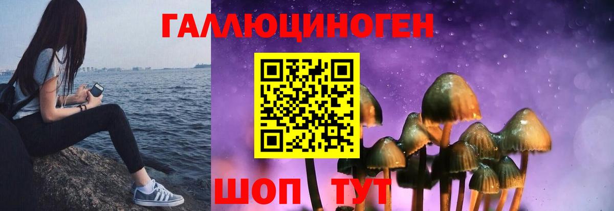 Галлюциногенные грибы GOLDEN TEACHER  Псилоцибиновые грибы Psilocybine cubensis  Вход с VPN  Чернушка 